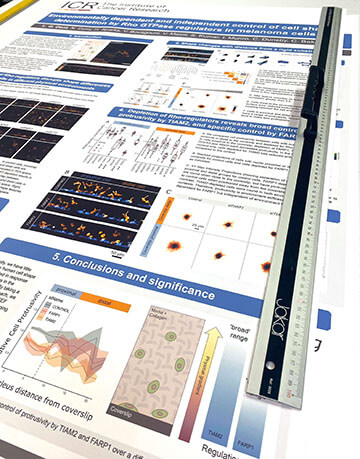 overnight poster printing